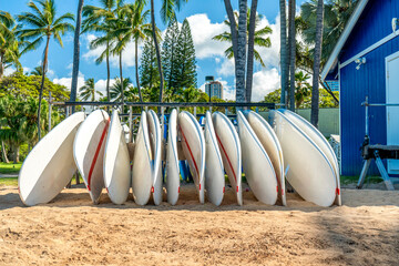 Group of surfboards lined up under palm trees at Waikiki Beach © Cavan