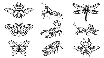 Minimalist insect line art collection, 9 black and white bug icons, entomology vector set featuring butterfly, scorpion, and beetle illustrations © Sidra