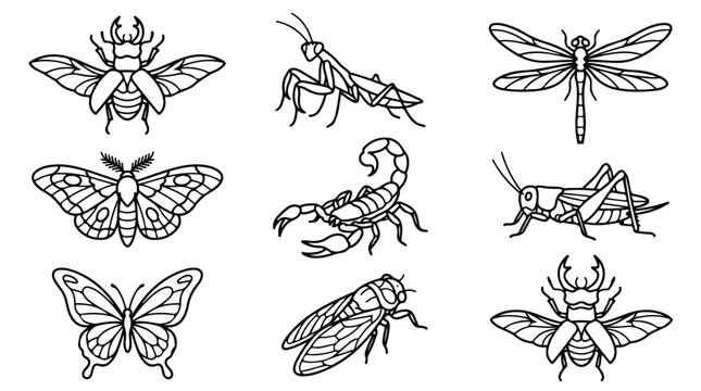 Minimalist insect line art collection, 9 black and white bug icons, entomology vector set featuring butterfly, scorpion, and beetle illustrations