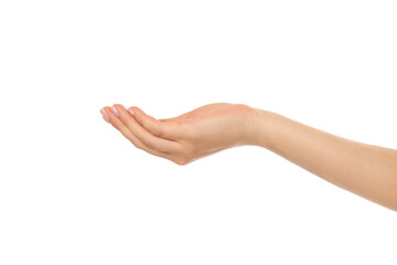 Fototapeta premium Open hand signals communication and interaction, PNG