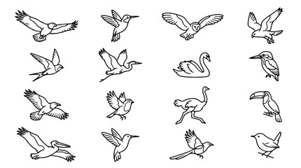 Minimalist bird line art icons, set of 16 flying and perched avian species, black and white vector illustrations for nature branding and logo design © Sidra