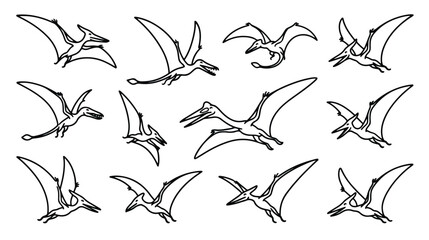 Pterodactyl flying dinosaur line art icons, prehistoric pterosaur bird set of 12 vector illustrations, minimalist black outline extinct reptiles © Sidra