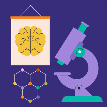 Microscope, brain diagram and chemical molecule structure. Kids science education concept illustration. Science camp activities colorful cartoon.