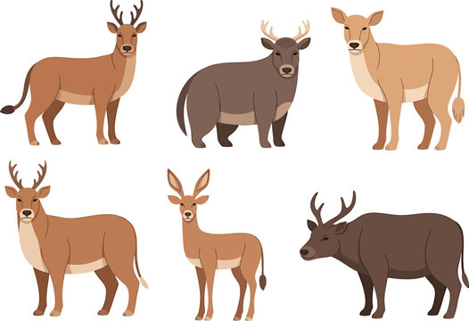 Deer, Bison, Antelope and Fauna, Isolated on White