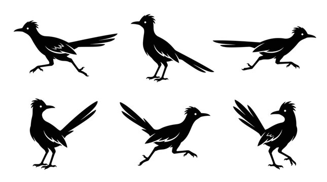 different black roadrunner bird silhouettes on a clean white background, minimalist vector style.