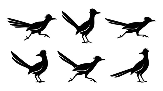different black roadrunner bird silhouettes on a clean white background, minimalist vector style.