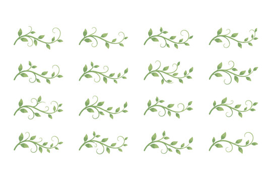 Collection of stylized green botanical flourishes with leaves, perfect for borders, dividers, and organic accents. Decorative natural elements.