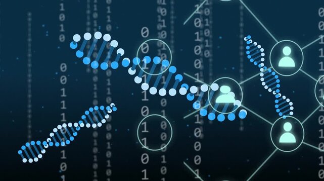 Falling binary digits sparking double helix forming while nodes linking, showing data flow