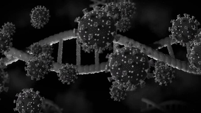 Viral sphere influx sparking DNA helix twisting while spheres drifting and clustering for binding