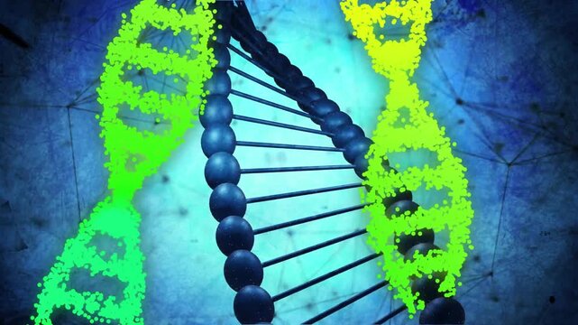 Neon particles rising, streaming into twin DNA ribbons while navy helix rotating up, showing genome