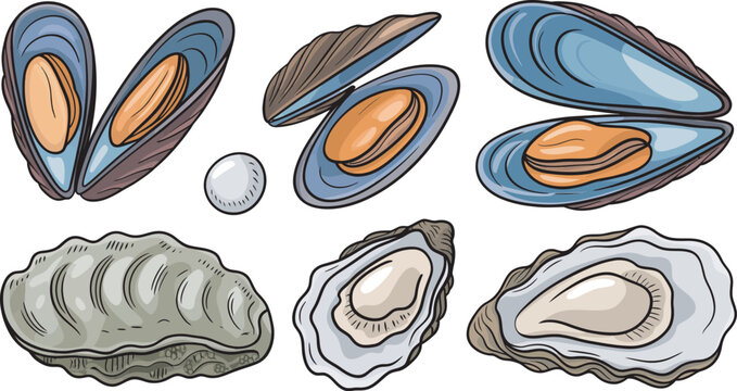 Mussels and oysters vector set, clean seafood illustration collection for shellfish dishes, seafood menus, marine life and food packaging design elements.