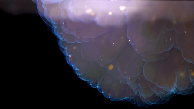 Subtle bioluminescent bubble edge with teal rim oceanographer Filmed on a high-speed camera at 1000 fps.