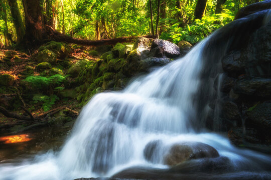 Kleiner Bach mit Wasserfall im Wald El Cedro auf La Gomera