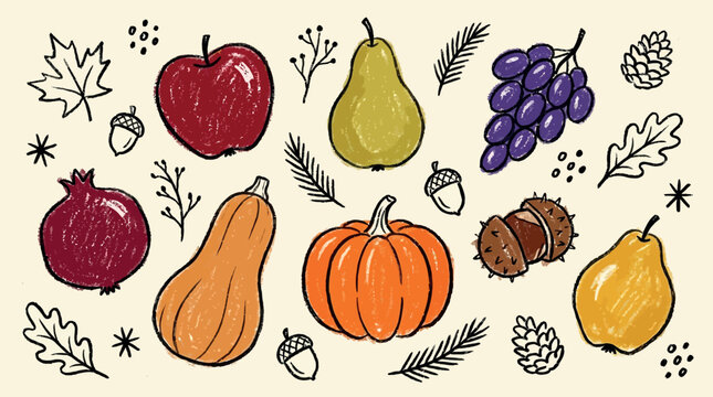 Autumn Harvest Fruits and Vegetables Botanical Sketch Illustration for Seasonal Packaging Greeting Cards Thanksgiving and Food Blog Design