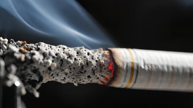 Close up of a burning cigarette with smoke rising.