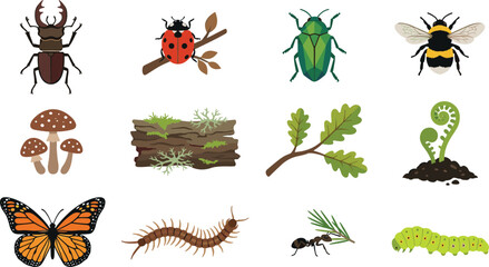 Obraz premium Forest Insect and Nature Illustration Collection Featuring Beetle, Ladybug, Bee, Butterfly, Caterpillar, Mushroom, Fern, and Woodland Wildlife Elements