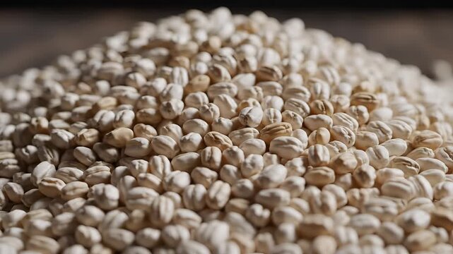 Closeup of a pile of dried pinto beans with a shallow depth of field.