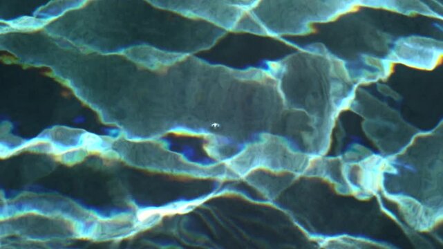 Shot in 1080p, 120fps on a PanasonicGH5. Abstract pool footage