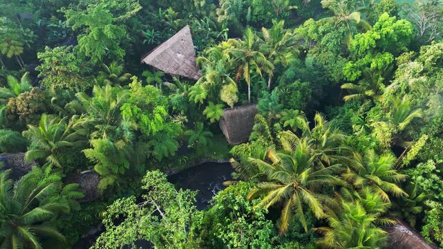Secluded tropical resort with thatched roof villas set in dense jungle near river, lush vegetation and palm trees forming tropical retreat environment aerial drone footage