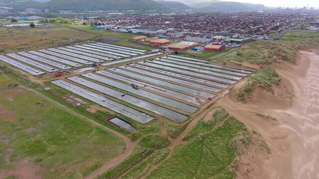 Commercial Ragworm Farm and Marine Bait Production. Sediment beds and water filtration systems used to cultivate ragworms for the global fishing bait market. United Kingdom. 4K.