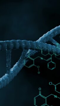 Vertical video: Camera panning right, DNA helix rotating, shifting right, showing chemical diagrams