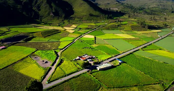 Green Valleys, Patchwork fields, Rural Landscapes, Colca Canyon, Chivay, Peru, South America, Aerial View