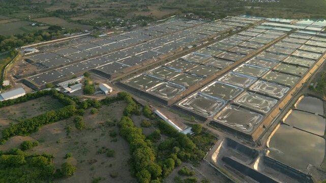 Vast Salt Farm At Golden Hour West Lombok Indonesia Drone Circling 4K 60FPS