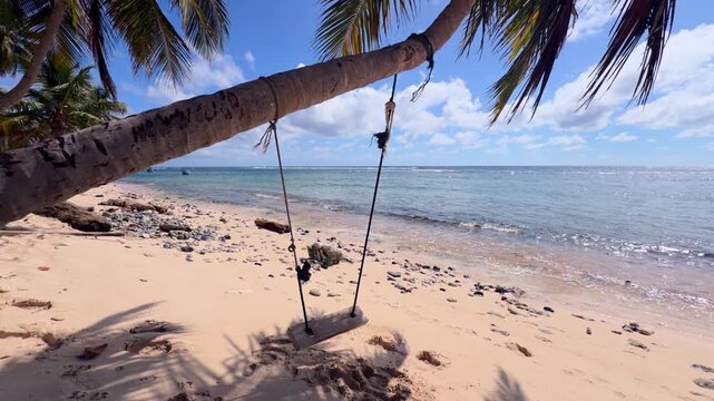 Empty wooden swing hanging from leaning palm tree over sandy tropical beach with ocean waves at Playa Fronton in Dominican Republic