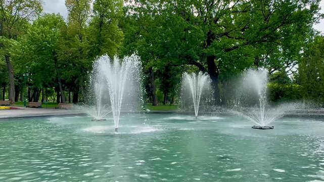 Beautiful landscaping by the fountain in the park