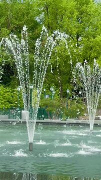 fountain in the park