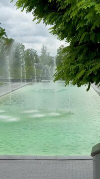lake in the park