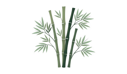Obraz premium Minimal bamboo vector illustration with elegant botanical stems and leaves