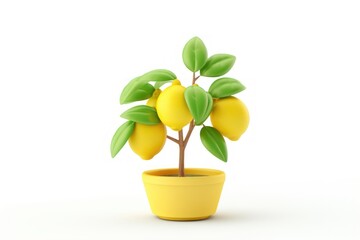 Obraz premium Lemon plant fruit leaf.
