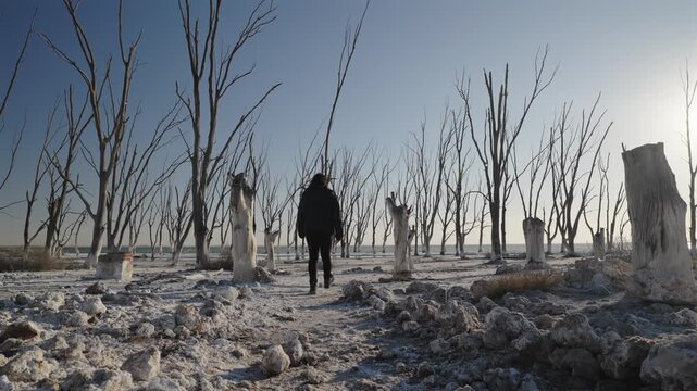 Woman walks across salt affected landscape with dead trees likely halophyte tolerant species remnants showing soil salinization and vegetation dieback in degraded ecosystem, rear tracking shot