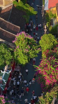 Aerial drone view of Hoi An city, Quang Nam province, Vietnam. Panoramic footage of Ancient town, UNESCO world heritage. One of the most travel popular touristic destinations