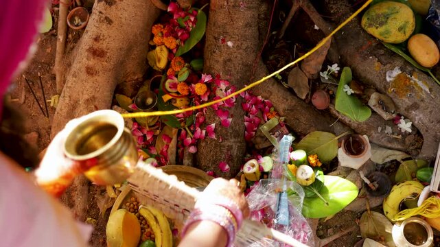 indian woman performing banyan tree worship ritual during traditional hindu festival