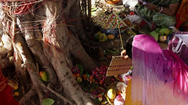 spiritual worship scene with lady offering puja at holy tree festival celebration