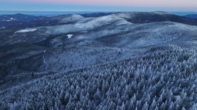 Winter Snowy Forest Sunrise Aerial Forward Flight