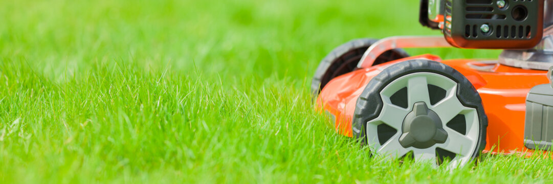 New clean orange lawn mower on green grass at home yard in sunny summer day. Wide banner. Closeup. Side view.