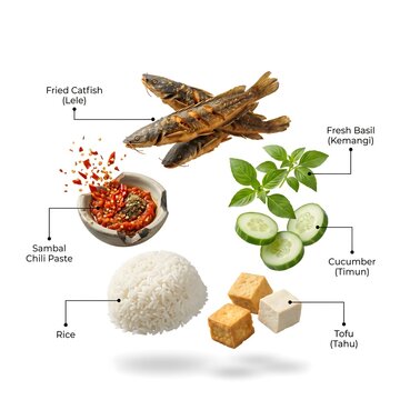 Deconstructed Floating Pecel Lele Indonesian Food Ingredients with Fried Catfish Sambal and Rice