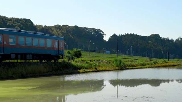 朝の静岡県袋井市で茶畑と水田の間を通過するローカル線