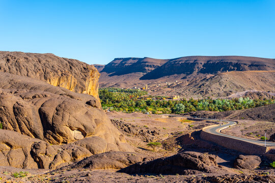 Fint Oasis is located near Ouarzazate in Morocco. The scene shows rocks, a winding road, and green palm trees. The clear blue sky adds to the view of the landscape.