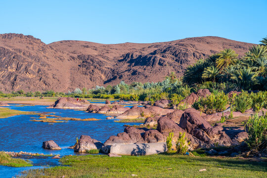 Fint Oasis is a natural spot near Ouarzazate. Visitors enjoy the lush greenery, water, and rocks. The landscape features mountains and palm trees. It is a perfect place for exploration and relaxation.