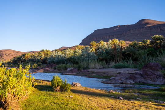 Fint Oasis is located near Ouarzazate, Morocco. The area features a river, palm trees, and green plants. Visitors can enjoy walking, exploring, and taking in the natural scenery.