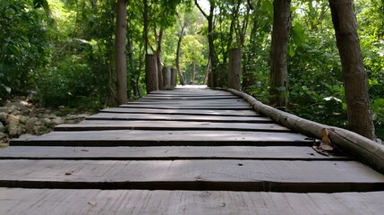 Obraz premium An adventurous wooden bridge stretches through a lush dense forest under bright midday sunlight