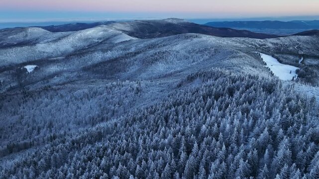 Winter Snow Covered Trees Aerial Orbit Before Sunrise