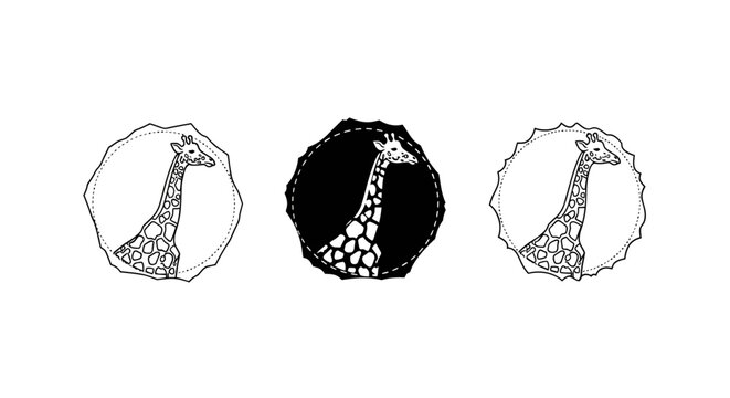Cross Section Views of Hollowed Tree Trunks.