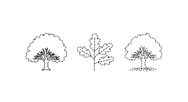 Hand Drawn Illustrations of Three Distinct Tree Types.