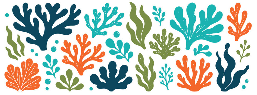 Collection of colorful hand drawn sea plants, corals, and algae isolated on white background. Vector illustration for marine design.