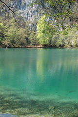Obraz premium Beautiful clear turquoise lake with small swimming fish and green forest trees reflecting on the water surface in Plitvice National Park Croatia.